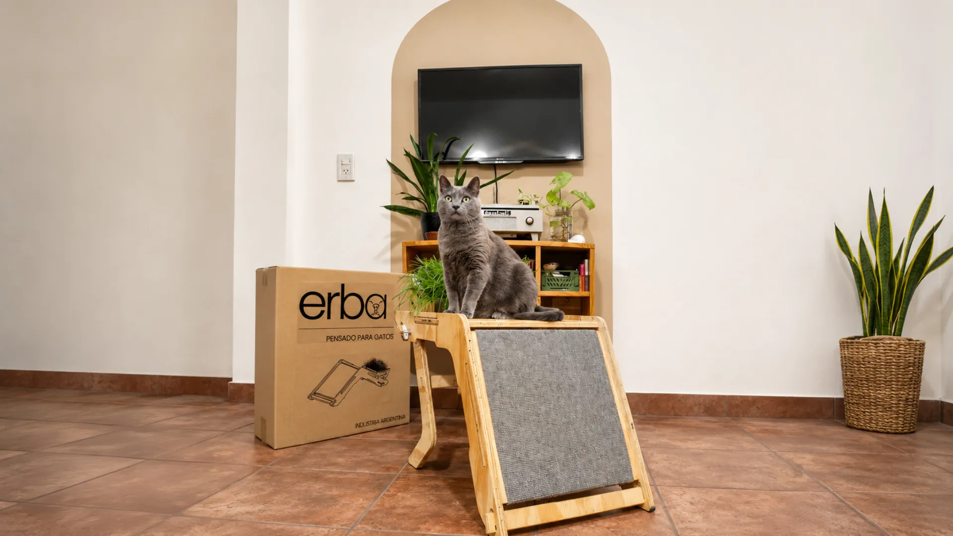Erba